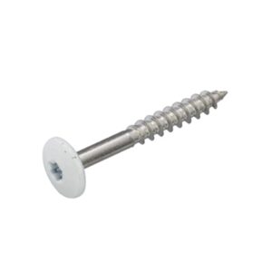 Trespa schroef gebr wit ral 9010 4.8 x 38 100st