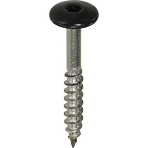 FISINOX KLEURKOPSCHR 4.8x38 RAL7016